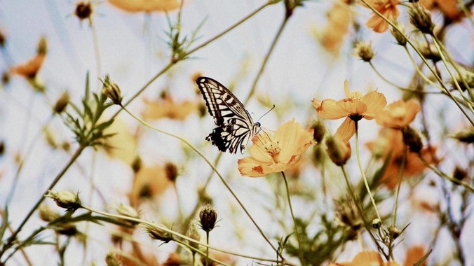 banner1